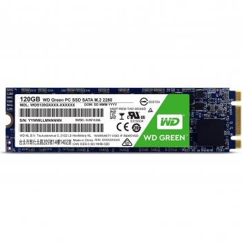 Western Digital M.2 2280 120 GB Solid State Drive - Green
