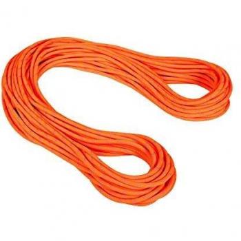 Mammut Alpine Dry 9.5 mm Single Climbing Rope