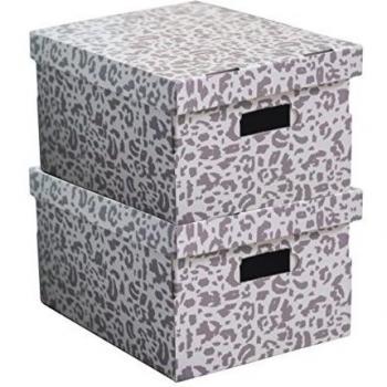 Rangement & Cie ran7217 Leo – Juego de 2 cajas de almacenamiento de color blanco/gris 40 x 31 x 21 cm)