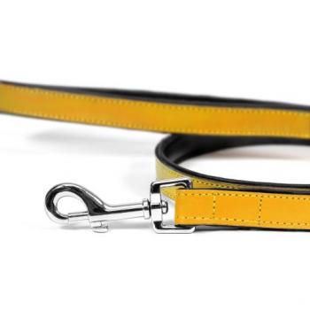 Correa para Perro Gloria 1.8 x 100 cm Amarillo