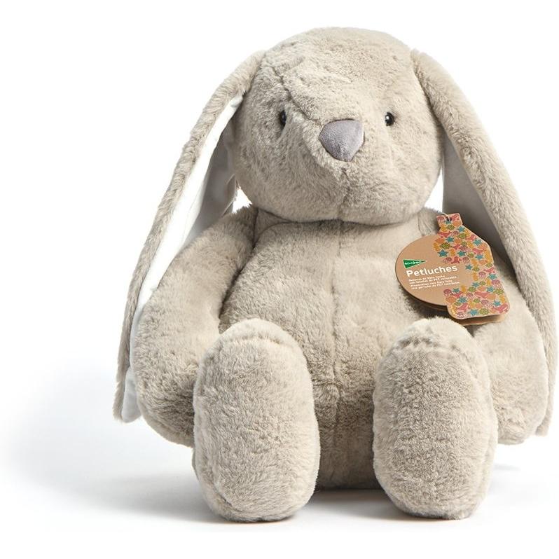 Imagen Principal