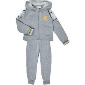 Conjunto de Chándal Harry Potter Hedwig gris con diseño exclusivo para fans de la saga del famoso mago