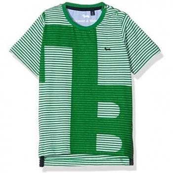 Harmont & Blaine junior T-Shirt Rigata M/M, Camiseta para Niños, Verde Prato, 8y