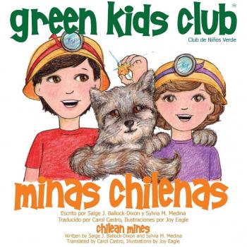 Minas Chilenas de Alta Calidad