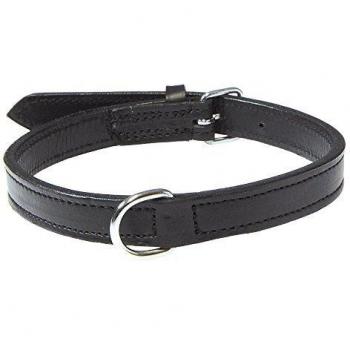 Collar de Piel Active Negro para Perros con Hebilla de Metal y Ajuste de Longitud