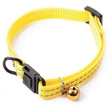 Collar ajustable de nailon para gato con correa Martin Sellier