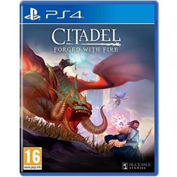 Citadel Forged with Fire PS4