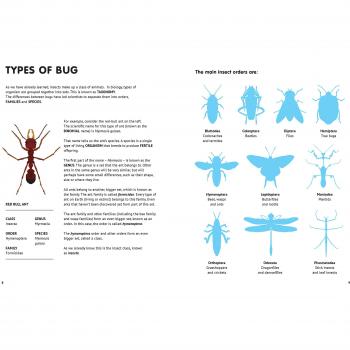 Bugs