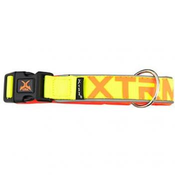 Nayeco Collar X-TRM Neon Flash Limón para Perros, Talla M, 20 mm x 35-45 cm