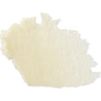 Evolve Organic Beauty Lip Treat - Vegan Lip Balm - 15ml