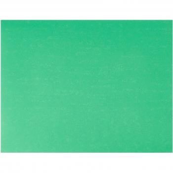 Liderpapel CT31 - Pack de 25 cartulinas, 50 x 65 cm, color verde navidad