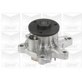 Graf PA864 Bomba de agua