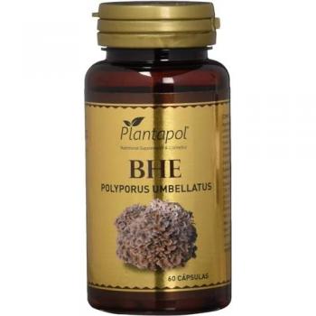 Suplemento de Hongo Polyporus Umbellatus con Escaramujo - 60 Cápsulas