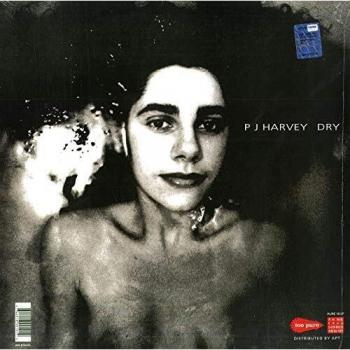 Dry vinilo