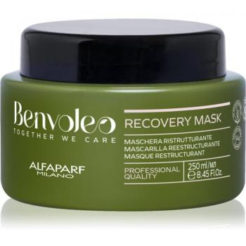 Mascarilla Reestructurante Benvoleo Recovery Crema De Regeneración Intensa Para Cabello Maltratado O Dañado 250 Ml