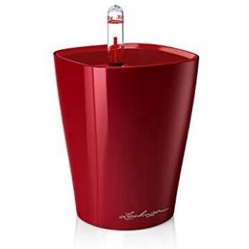 Lechuza Maceta Mini Deltini Kit Completo Rojo Escarlata Brillante