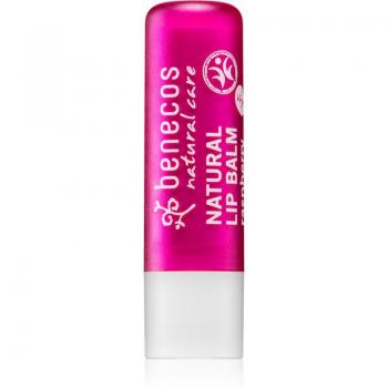 Bálsamo Labial Vegano de Frambuesa Benecos 4,8g