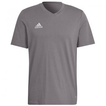 Camiseta adidas manga corta Entrada 22 Gris