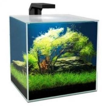 Acuario Ciano Cube Aqua LED 10L con Filtro CF20