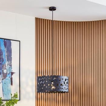 Lámpara colgante Aeloria, moderno, negro, Ø 45 cm, hierro, E27, para salón y comedor