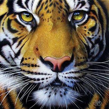 Golden Tiger Face 1000-Piece Puzzle