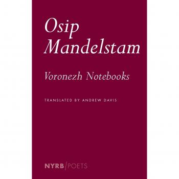 The Voronezh Notebooks