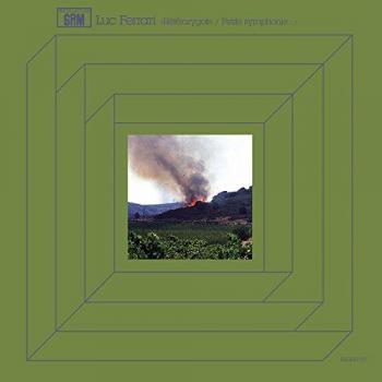 Heterozygote/Petite Symphonie [VINYL]