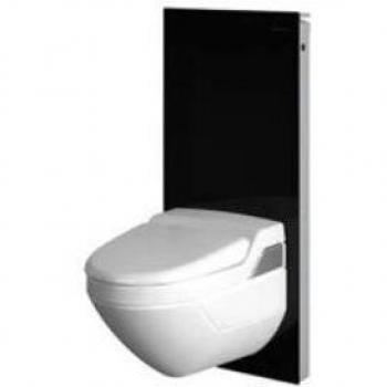 Geberit - Módulo Sanitario Geberit Monolith Para Inodoro Suspendido, 101 Cm: Vidrio Negro