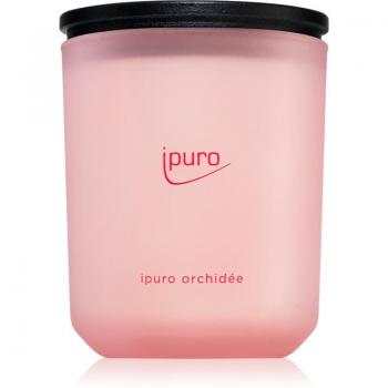 ipuro Classic Orchid Scented Candle 270 g
