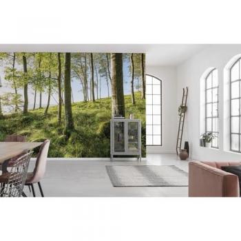Papel Pintado No Tejido Panorámico Espectáculo Mágico de Haya, 450x280 cm, Ideal para Sala y Dormitorio