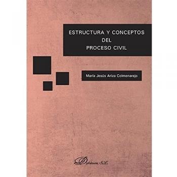 Estructura y conceptos del proceso civil