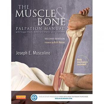 Muscle and Bone Palpation Manual with Trigger Points, Referral Patterns, and Stretching Techniques