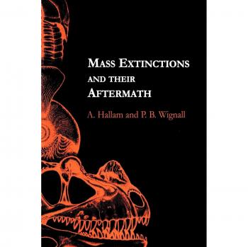 Mass Extinctions and Their Aftermath