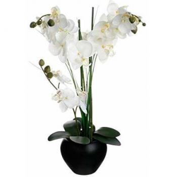 Orquídea Artificial en Jarrón de Cerámica Negra - 53 cm