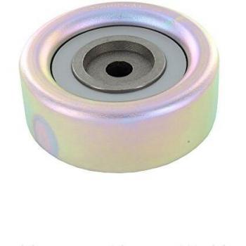 SKF VKM 65101 Kit Polea Loca Multi-V