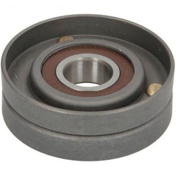 Polea tensora y brazo tensor para correa poli V BTA E2F5357BTA