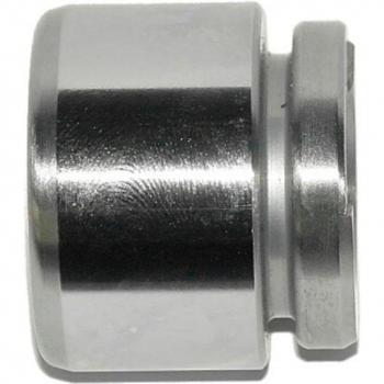 Émbolo pinza del freno trasero CQ 71363124 LAUBER