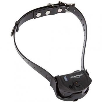 Collar de adiestramiento y educación para perros Num'axes Canicom Spray - Sangle negra