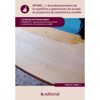 Acondicionamiento de la superficie y operaciones de secado en productos de carpintería y mueble. MAMD0109 - Aplicación de barnices y lacas en elementos de carpintería y mueble
