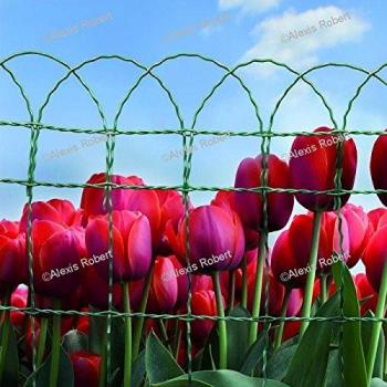 Malla Protectora Floritor de Alambre Galvanizado y Plastificado Verde 65cm x 10m