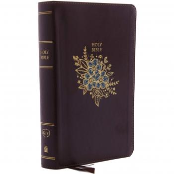 KJV, Deluxe Reference Bible, Personal Size Giant Print, Imitation Leather, Burgundy, Indexed, Red Letter Edition