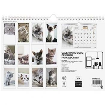 Finocam - Calendario de pared 2020 Imágenes Espiral 30x21 Gatitos español