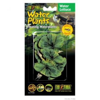 Exo Terra Floating Lettuce Plants for Aquatic Habitats 15 cm