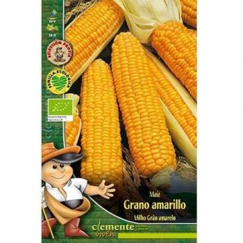 Semillas ecológicas de Maiz Grano Amarillo