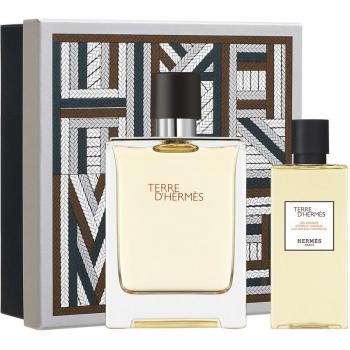 Hermès Terre d'Hermès edt Estuche 100 ml Eau de toilette