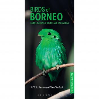 Birds of Borneo