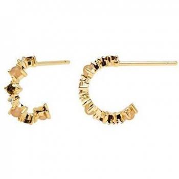 PENDIENTES PDPAOLA