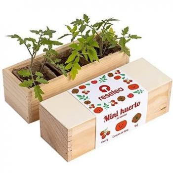 Resetea Mini huerto de Tomates Urbano, Cherry, corazón de Buey y RAF