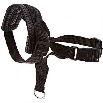 Arquivet Bozal para Perros Nylon con Lazo Acolchado - S