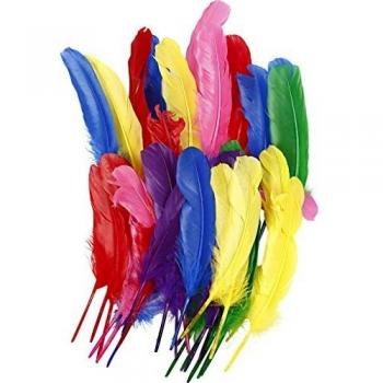 Plumas, L: 20 cm, colores variados, 36asstd